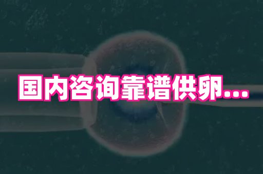 河南助孕网站 1