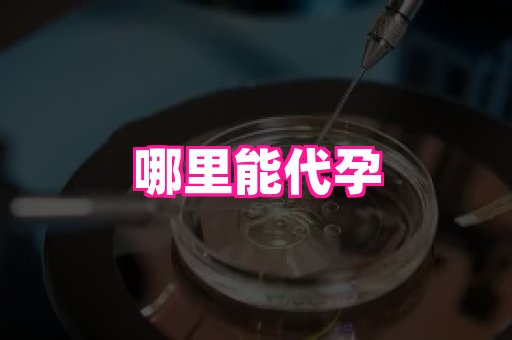河南助孕网站 2