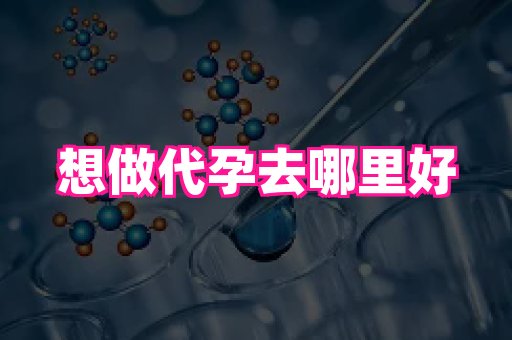河南助孕网站 3